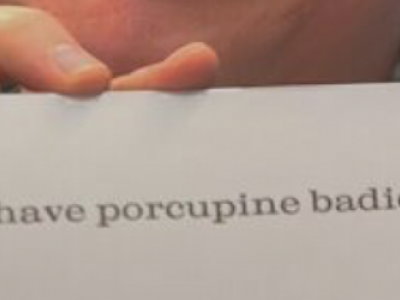 printed line "Does it hurt to have porcupine badies?"